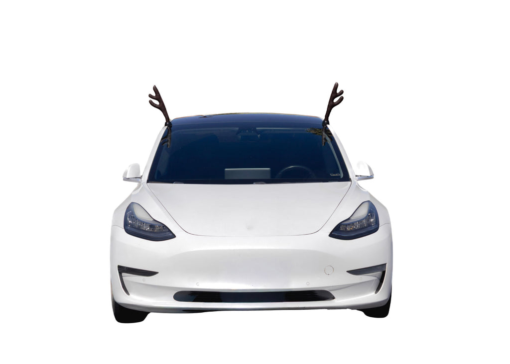 White Tesla with deer antlers on a white background.