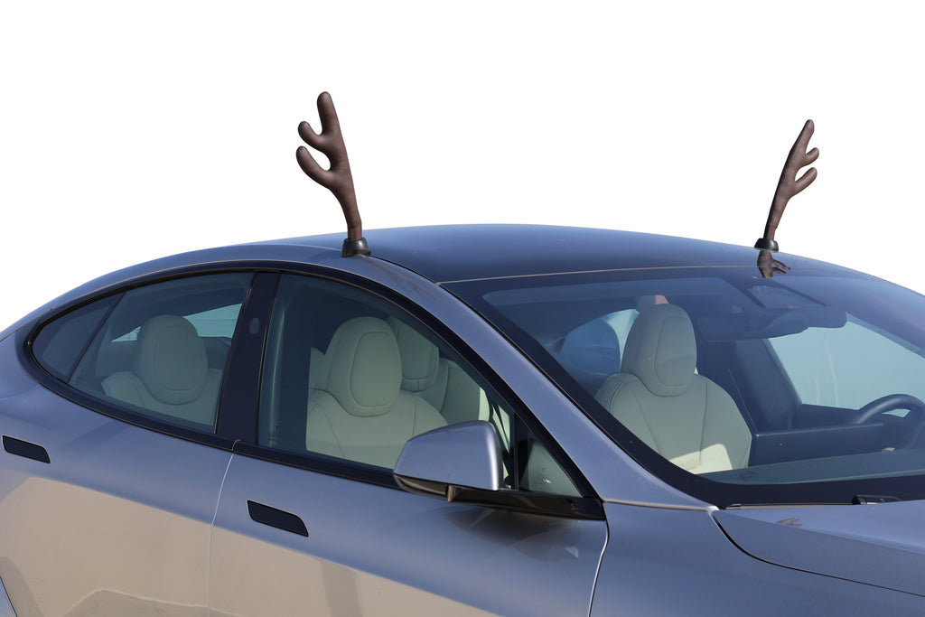 Model S Glass Roof