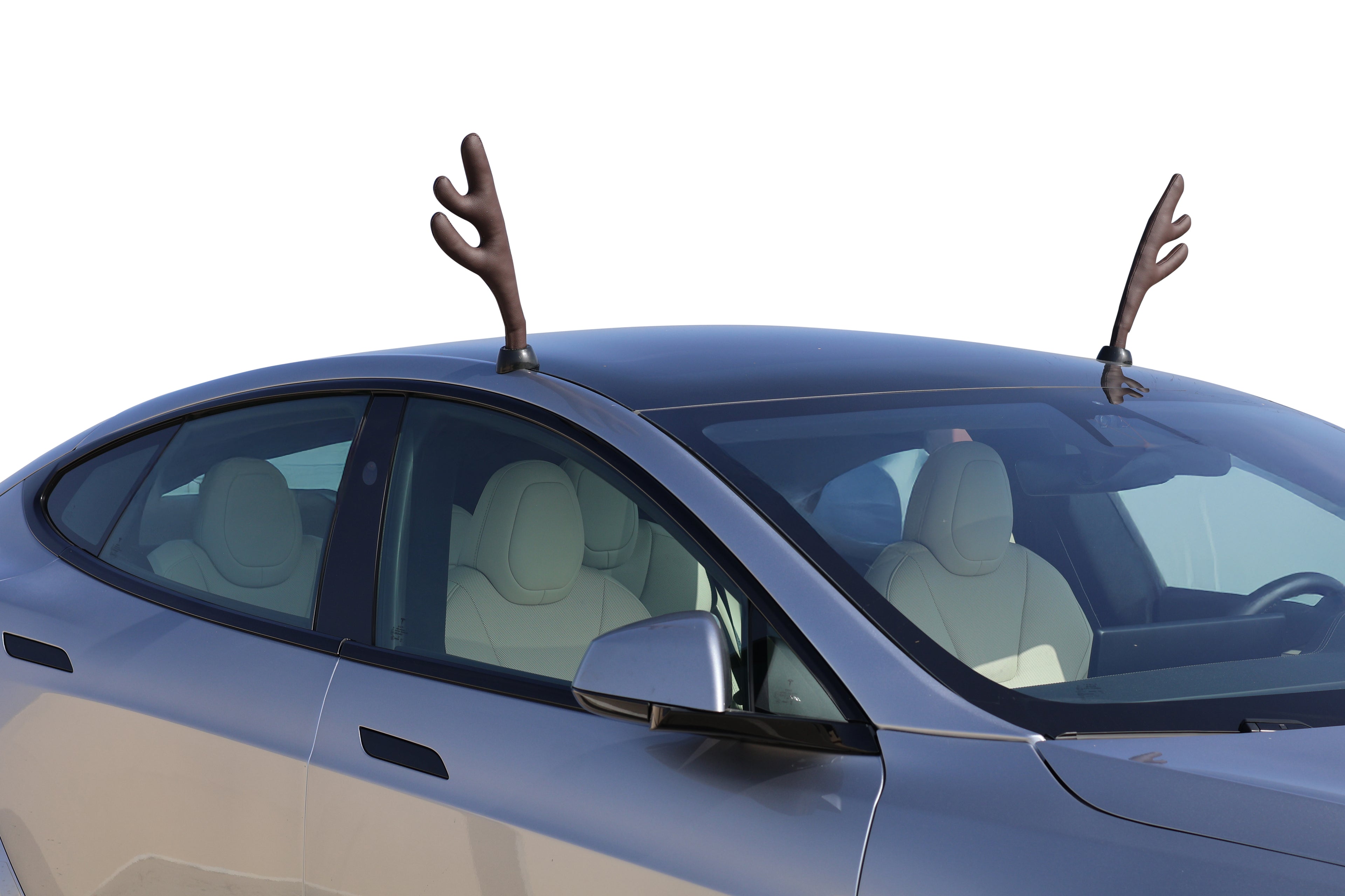 Model S Glass Roof