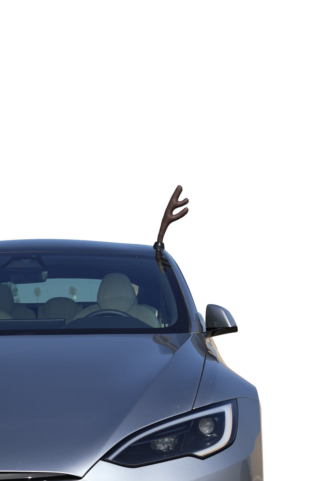 Model S Glass Roof