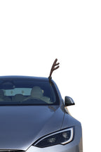 Model S Glass Roof