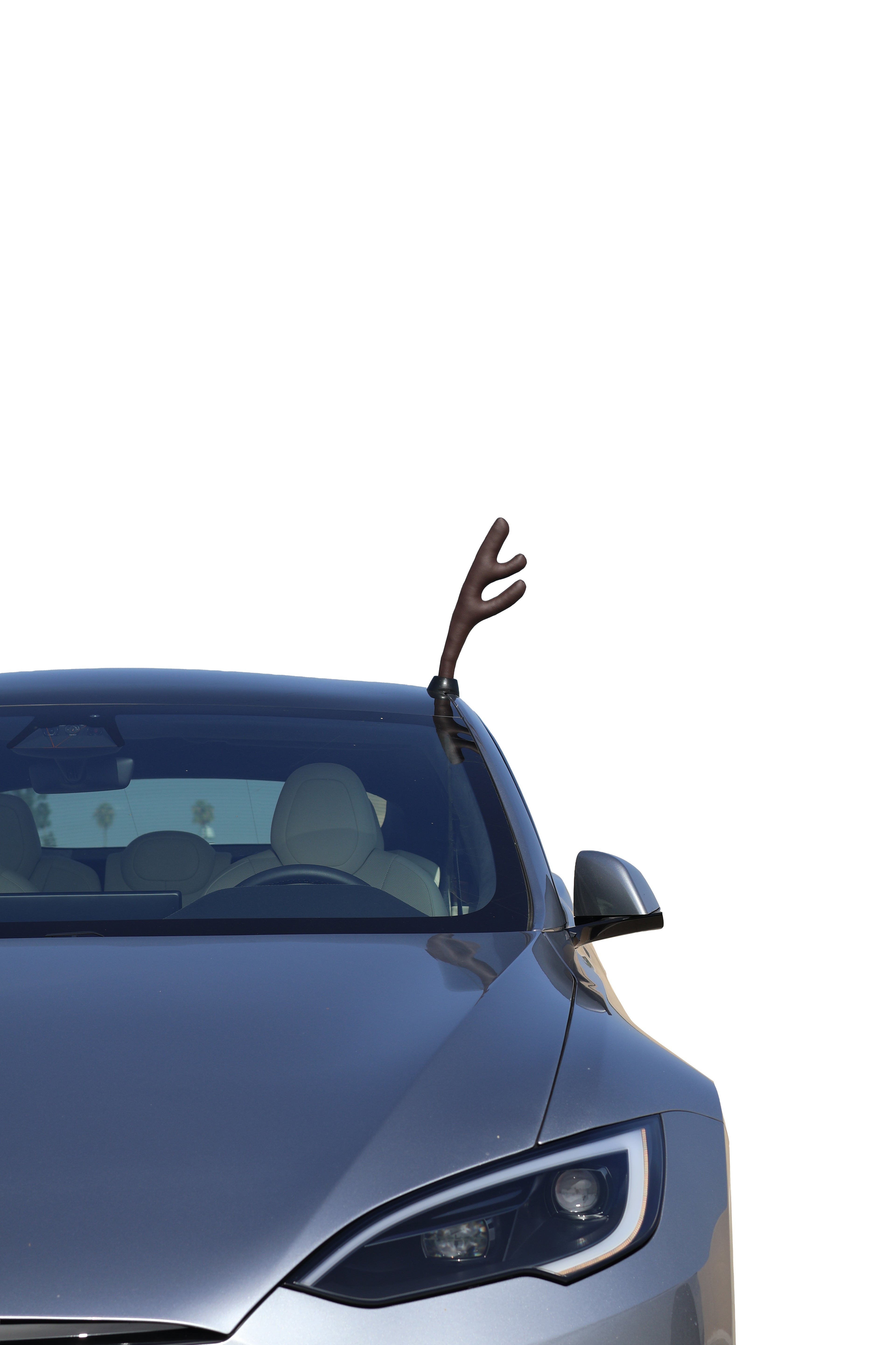 Model S Glass Roof