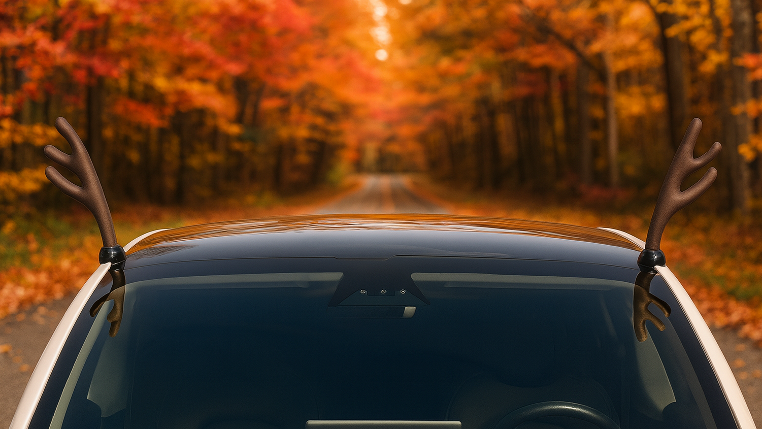 Car with deer antlers on a road lined with trees in autumn colors