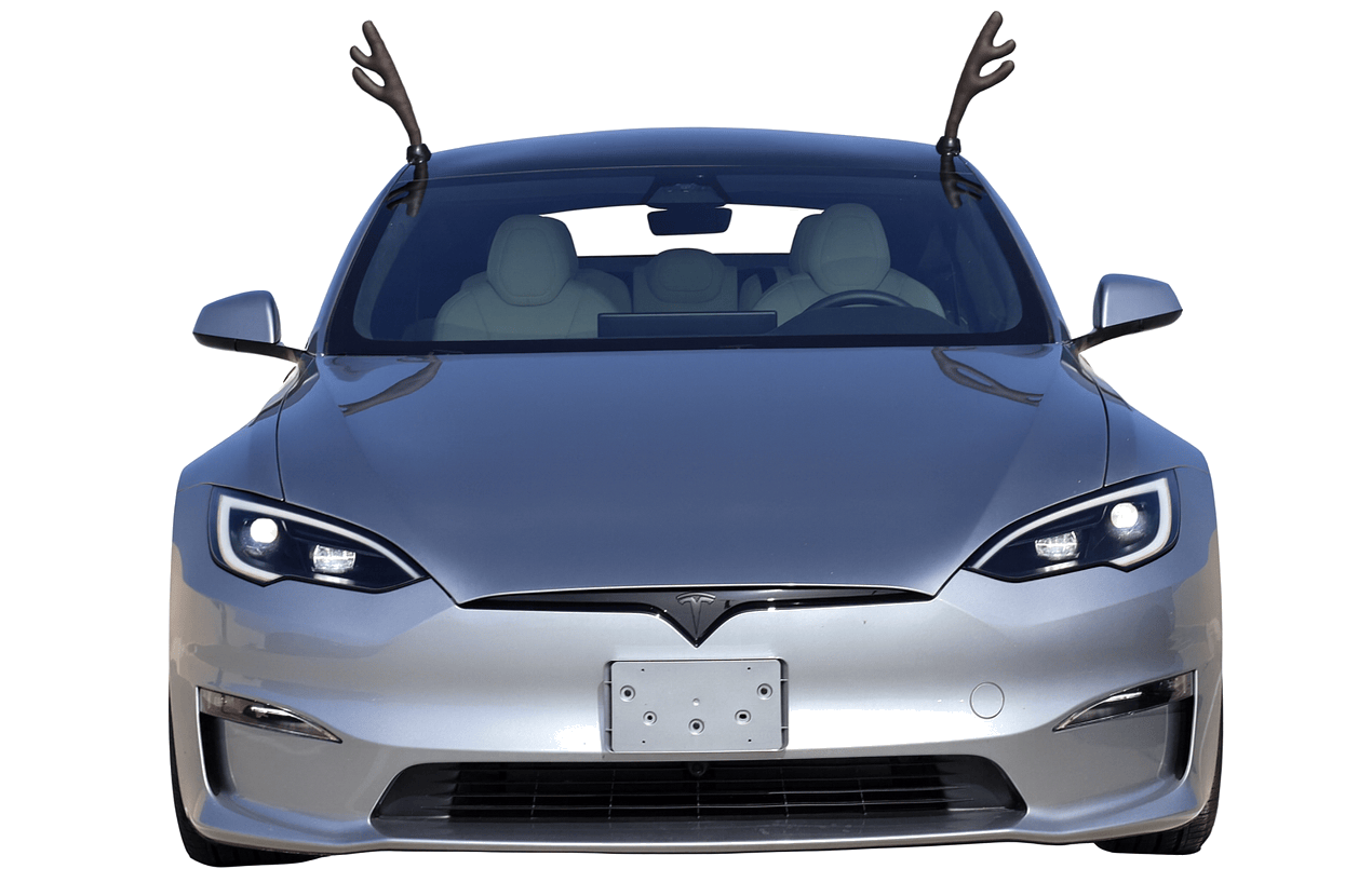 Front view of a silver Model S with deer antlers roof attachment