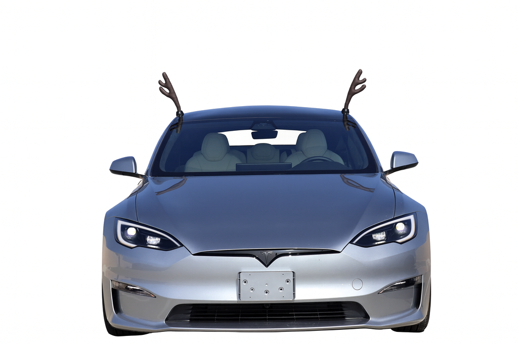 Model S Glass Roof