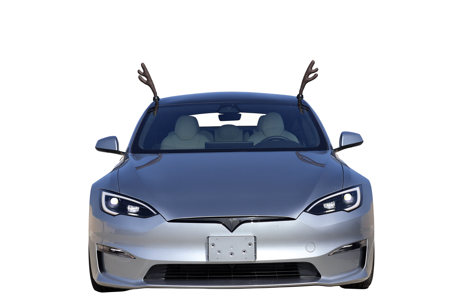 Model S Glass Roof